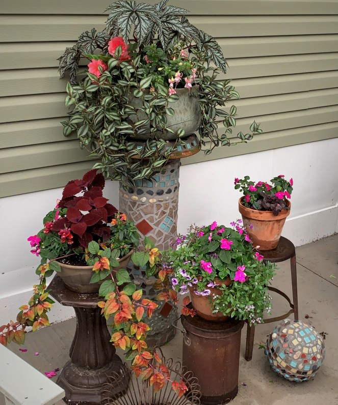 assorted pots filled with summer plants