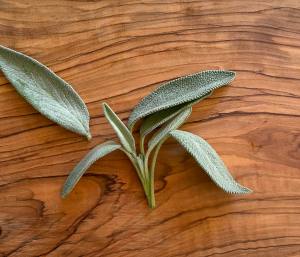 a small sprig of silvery green sage leave on an olive wood board