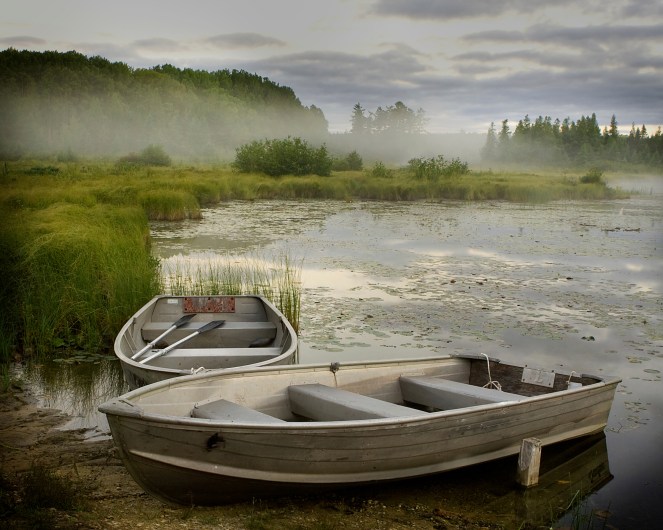 two white row boats pulled up onto a shore line with tall green marshy grass and mist hanging in the air
