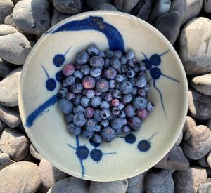 fresh blueberries in a gray and blue porcelain bowl