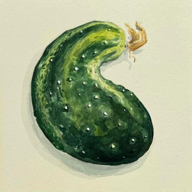 green cucumber with yellow bud watercolor painting on a pale cream background