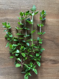 five sprigs of time on a wood background
