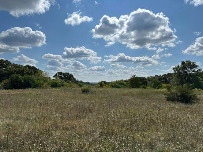 blue sky with clouds, prairie with trees on the horizon