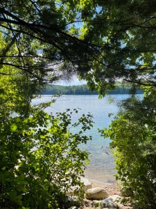 leaf framed view of the water of Walden Pond