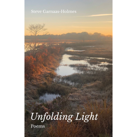wetlands in the early morning light - book cover of poems by Steve Garnaas-Holmes
