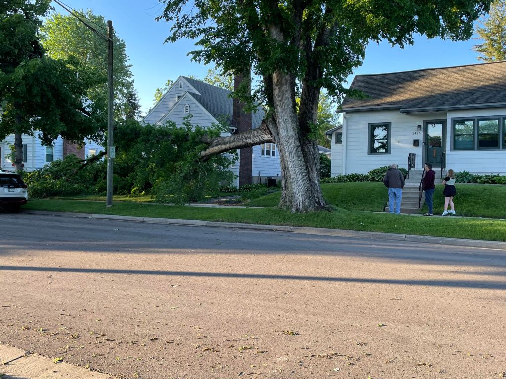 three people in front of a small white house surveying a very large tree limb filling the yard