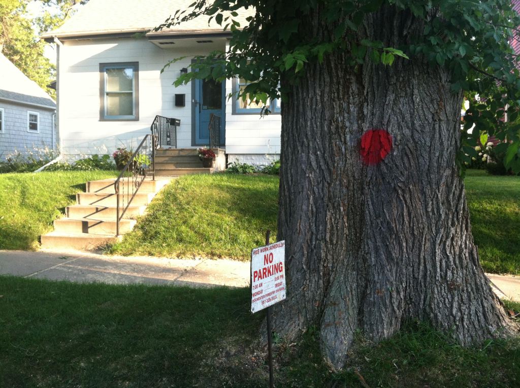 large tree trunk with orange dot in the foreground in front of a small white house with green grass