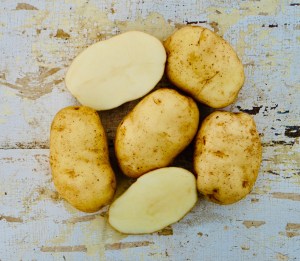 four whole potatoes and one cut in half resting on a white painted board