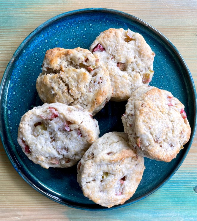 five rhubarb scones on a blue plate