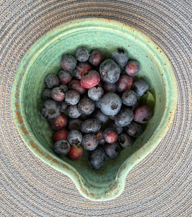 a small green bowl filled with dusty blueberries