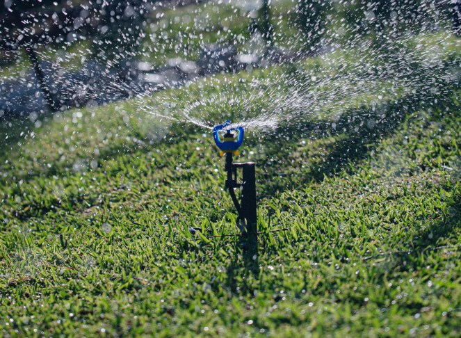 blue sprinkler head spraying water on green grass; pexel photo by Jonathan Cordova R