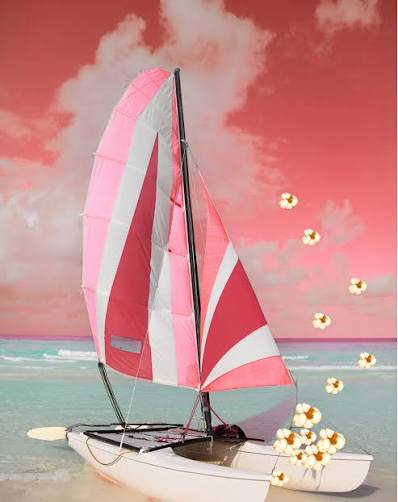graphic of a catamaran with pink sails and popcorn kernels sweeping up from the bow